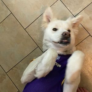 Meet your Posher, Charlotte